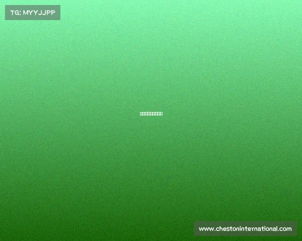 全国气排球比赛视频