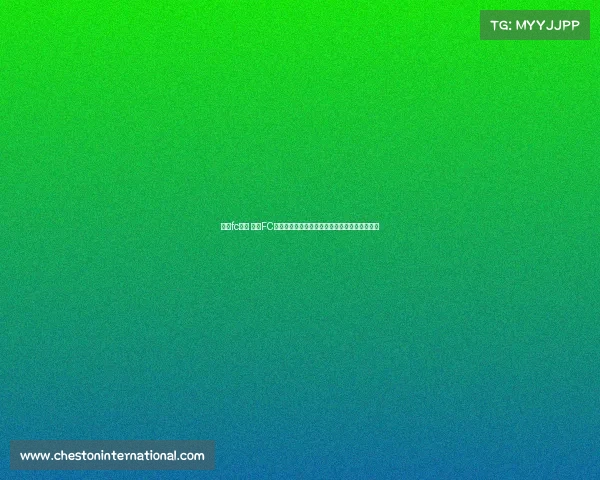 首尔fc足球 首尔FC赛事火热开战球迷齐聚助威共享足球激情与荣耀