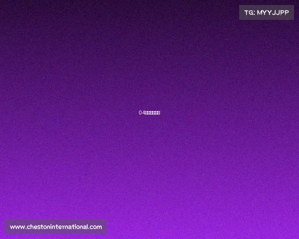 04年深圳队阵容