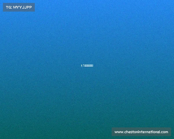 k1联赛直播免费